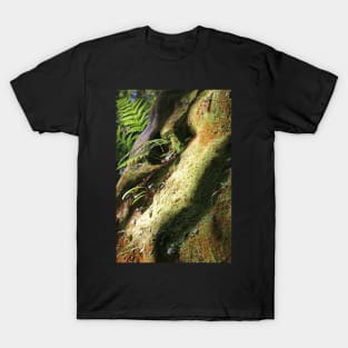 Sleeping Dragon T-Shirt